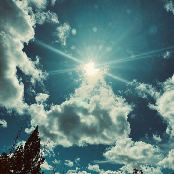 _b_a_b_e_l_a_n_d_ _ - Picture 2 of 11